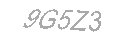 Güvenlik Kodu