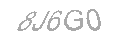 Güvenlik Kodu