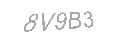 Güvenlik Kodu